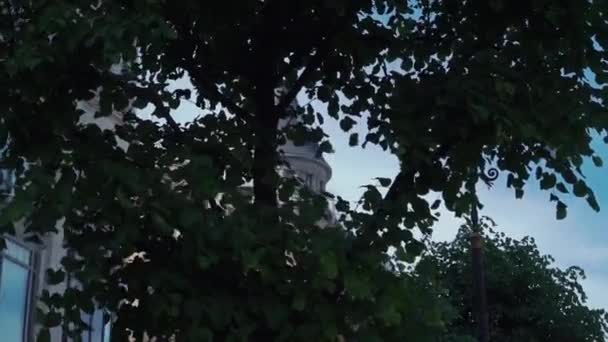 Vista do edifício moderno na rua, folha verde de árvores. Céu azul. Dia de verão . — Vídeo de Stock