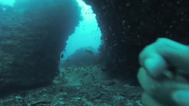 Taucher schwimmen unter Wasser mit Aqualungs zwischen Riffen. Tiefe. Korallen. Tiere — Stockvideo