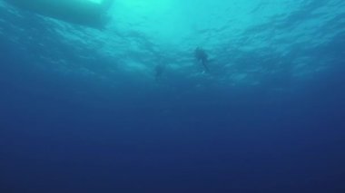 Dalgıçlar su altı su altında aqualung ile yüzerler. Mavi temiz okyanus. Derinlik.