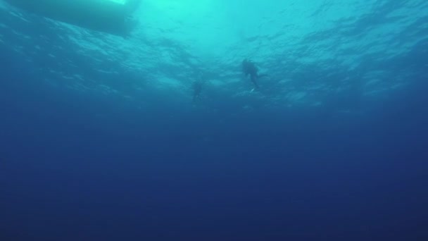 Los buceadores nadan bajo el agua en traje de neopreno con aqualung. Azul océano limpio. Profundidad . — Vídeos de Stock