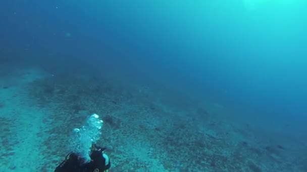 Mergulhadores nadam debaixo d 'água com aqualungs. Profundidade. A mergulhar. Bolhas. Oceano — Vídeo de Stock