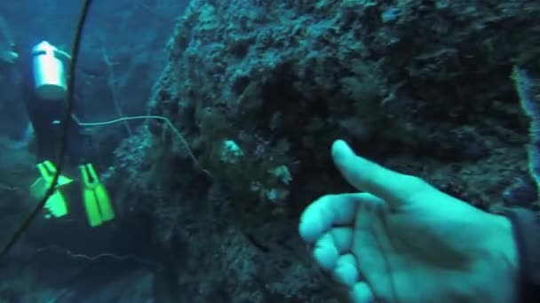 Divers úszni a víz alatt aqualungs a zátonyok között. Búvár ellenőrizze oxigén szintje — Stock videók