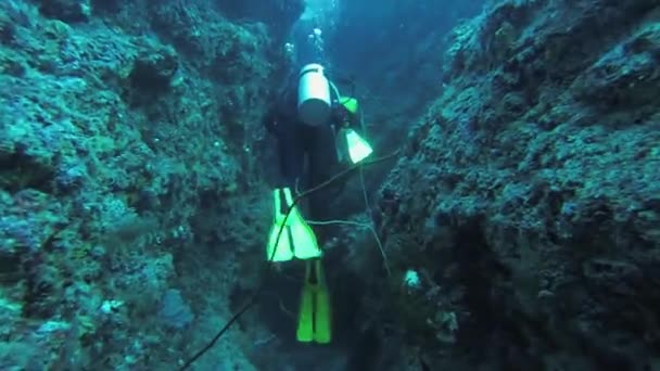 Divers swim underwater with aqualung between reefs. Blue clean ocean. Ocean life — Stock Video