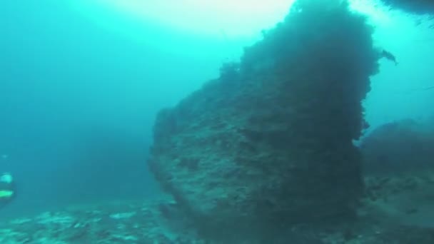 ダイバーはサンゴ礁の間アクアラングで水中を泳ぐ。青い水。深さ. — ストック動画