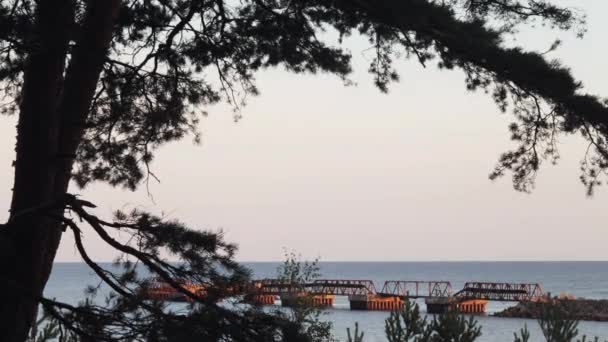 Vue du jour passé au bord de la mer. Vieux pont. La nature. Journée ensoleillée. Temps écoulé . — Video