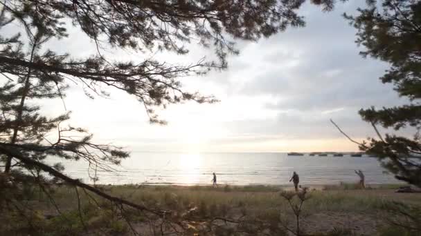 Meren rannikolla on näkymä ohi. Ihmisiä. Vihreä puu. Auringonlasku. Aikajänne — kuvapankkivideo