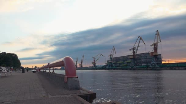 View of cargo port at seafront. River. Cranes. Containers. Summer evening. — Stock Video