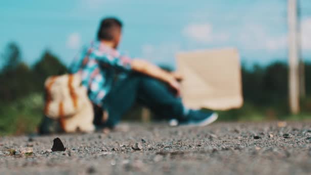 Man sit at road in countryside with cardboard plate. Hitchhiking. Butterfly. — Stock Video