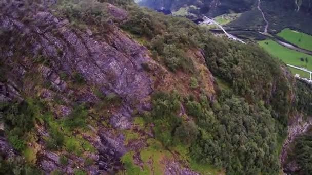 Fallschirmspringer beim Fallschirmspringen über von grünen Bäumen bedeckten Bergen. Extrem. Gefahr — Stockvideo
