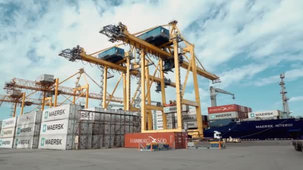 Saint Petersburg Russia Giugno 2020 Gru Portuale Immerge Container Carico — Video Stock