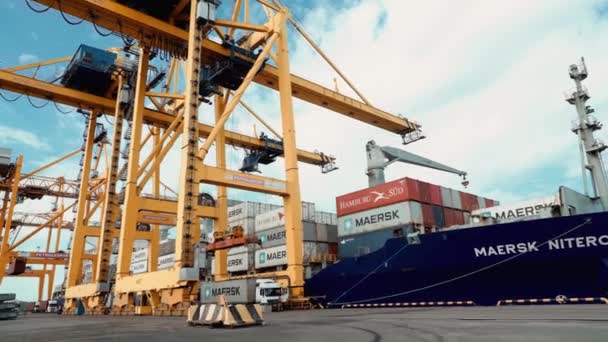 Una grúa enorme levanta un contenedor de pie en un camión en el puerto — Vídeo de stock