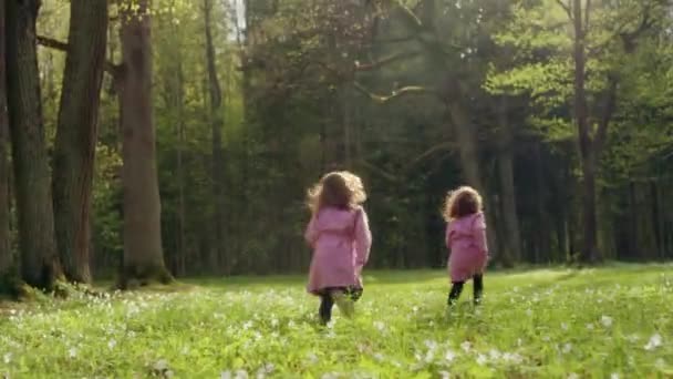 분홍색 외투를 입은 두 소녀가 큰 나무 사이에 있는 숲 속의 유리를 뚫고 지나고 있다 — 비디오