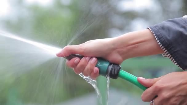 Woman spraying water from hose — Stock Video