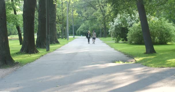 Tjej och kille promenad för handtag i park. De går till kameran. — Stockvideo