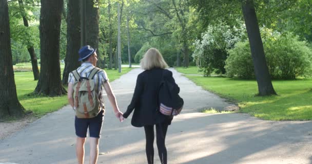 Girl and guy walk for the handle in park. They go from the camera. — Stock Video