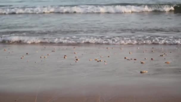 Marea en el océano. Olas en la arena . — Vídeos de Stock