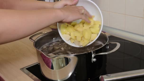 Mulher mistura colher de sopa de cogumelos em uma panela . — Vídeo de Stock