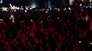 Moskova, Rusya - 15 Ağustos 2015: 20 yıllık Radyo Kaydı. Konserde kalabalık ellerini kaldırdı