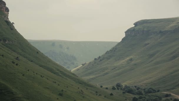 Panorama del paisaje de verano. Naturaleza Montañas . — Vídeo de stock