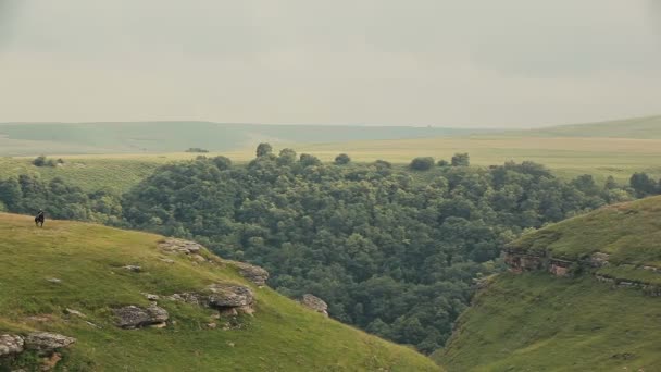 Panorama z letní krajiny. Charakter hor. — Stock video