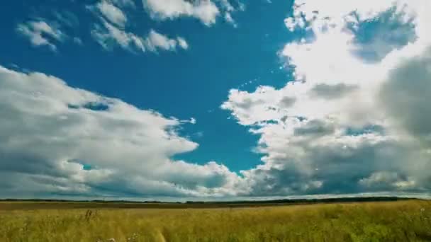 フィールド上の曇り空。積雲の雲、太陽、雨. — ストック動画