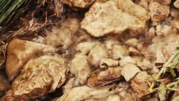 Ein kleiner Wasserfall in den Bergen — Stockvideo