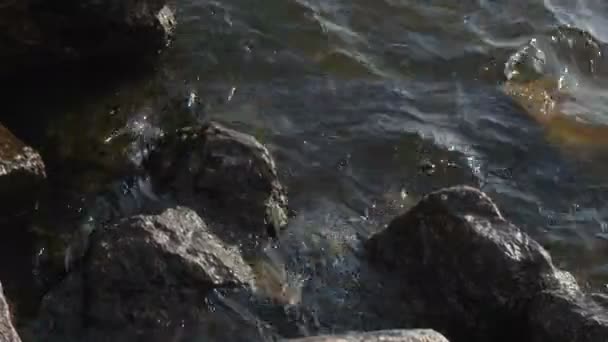 Las olas del mar golpeando contra las rocas — Vídeo de stock