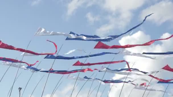 Macha flagą Rosji na tle nieba — Wideo stockowe