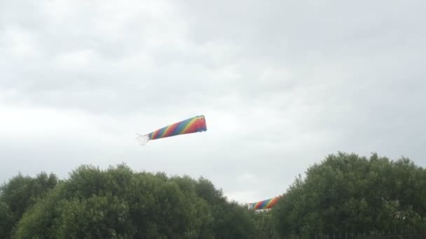 Kite in the form of an octopus flying in the sky — Stock Video