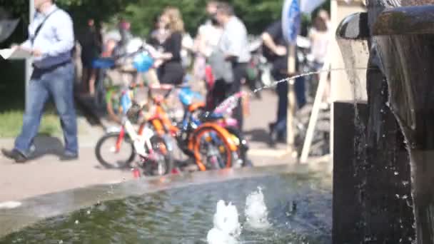 夏の公園の噴水 — ストック動画