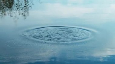Göle bir taş at. Göl üzerinde dalgalanma daire