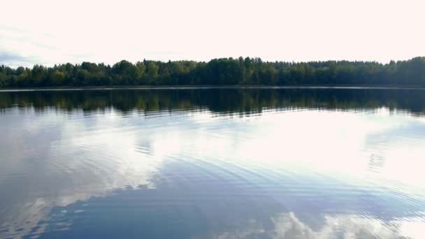 Lesní jezero pod modré oblohy jasno. Les, zataženo. — Stock video