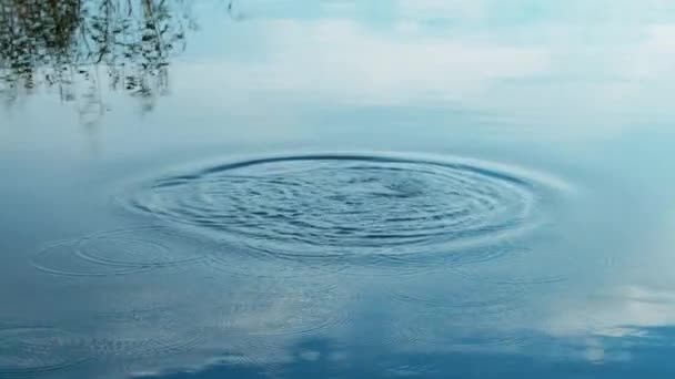 湖に石を投げます。湖のリップル円 — ストック動画