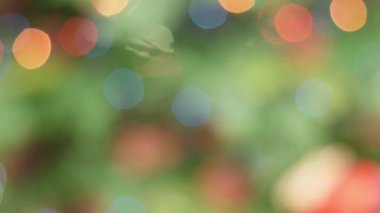 Noel ışıkları ağacının renkli bokeh. Pan