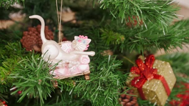 Décoration de jouet sapin de Noël pour chat. Casserole — Video