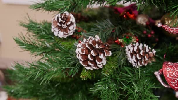 Decorazione di albero di Natale gnomo giocattolo. Pan. — Video Stock