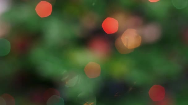 Barevné bokeh vánoční světla stromu. Statický — Stock video