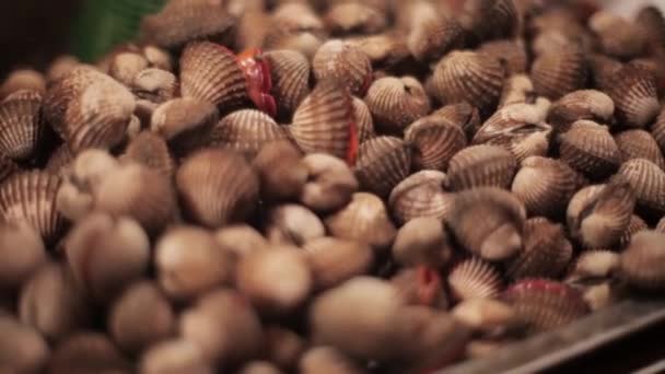 Fresh cockles for sale at a market in Thailand — Stock Video