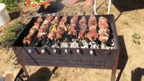 М'ясо на шампурі на грилі в сонячному літньому пікніку — стокове відео