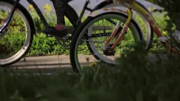 Grupp människor cykling i street, pedaler och fötter fokus i, i sommarkväll. — Stockvideo