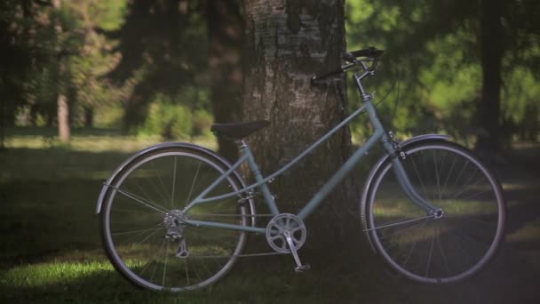 Blue bicycle stays at the tree in park in summer sunny evening. Pan horizontal. — Stock Video