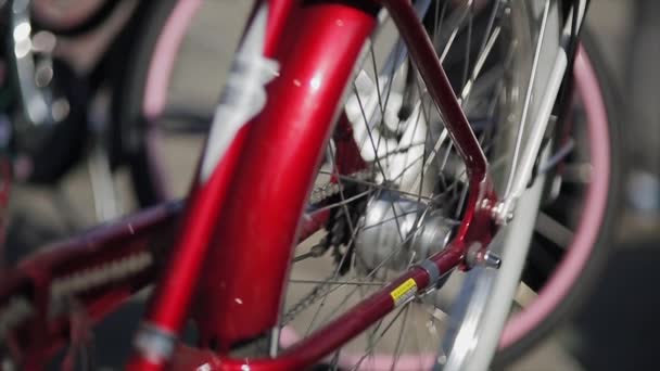 Hátsó kerék, és ül a piros bicikli középpontjában a nyári napsütésben. Közelről — Stock videók