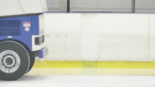 Big blue ice resurfacer truck polishes ice rink — Stock Video