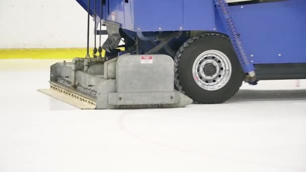 Big blue ice resurfacer truck polishes ice rink — Stock Video