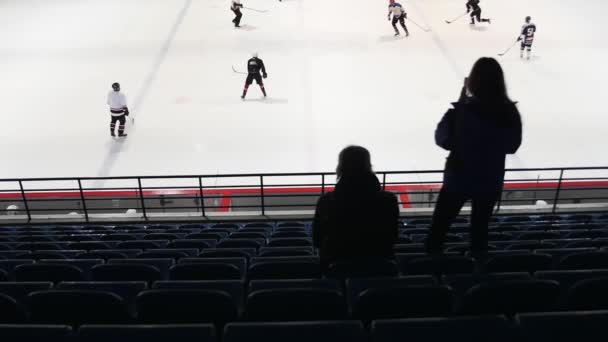 Lado trasero de dos fanáticos del hockey en tribuna viendo el partido. Movimiento lento — Vídeos de Stock