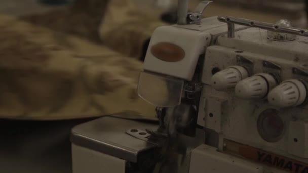 Machine à coudre fait des coutures sur gainage dans l'usine de meubles — Video