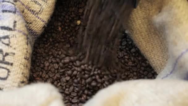 Prozess Gießen aus gebratenen Kaffeekörnern in Tüte in Fabrik. — Stockvideo