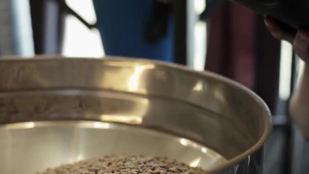 Pracownik nie dodać że smażone ziarna kawy w duże aluminiowe okrągłe antał w fabryce kawy — Wideo stockowe