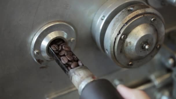 Monitoring process of mixing fried coffee grains by worker. Coffee factory. — Stock Video