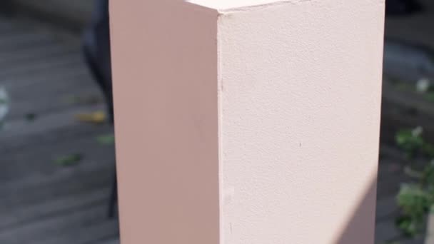 Morsa vetrosa fiorita da dogrose su piedistallo in pietra rosa chiaro nella soleggiata giornata estiva — Video Stock